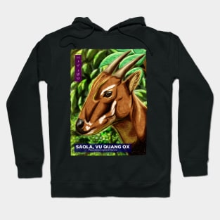 Saola - Black Hoodie